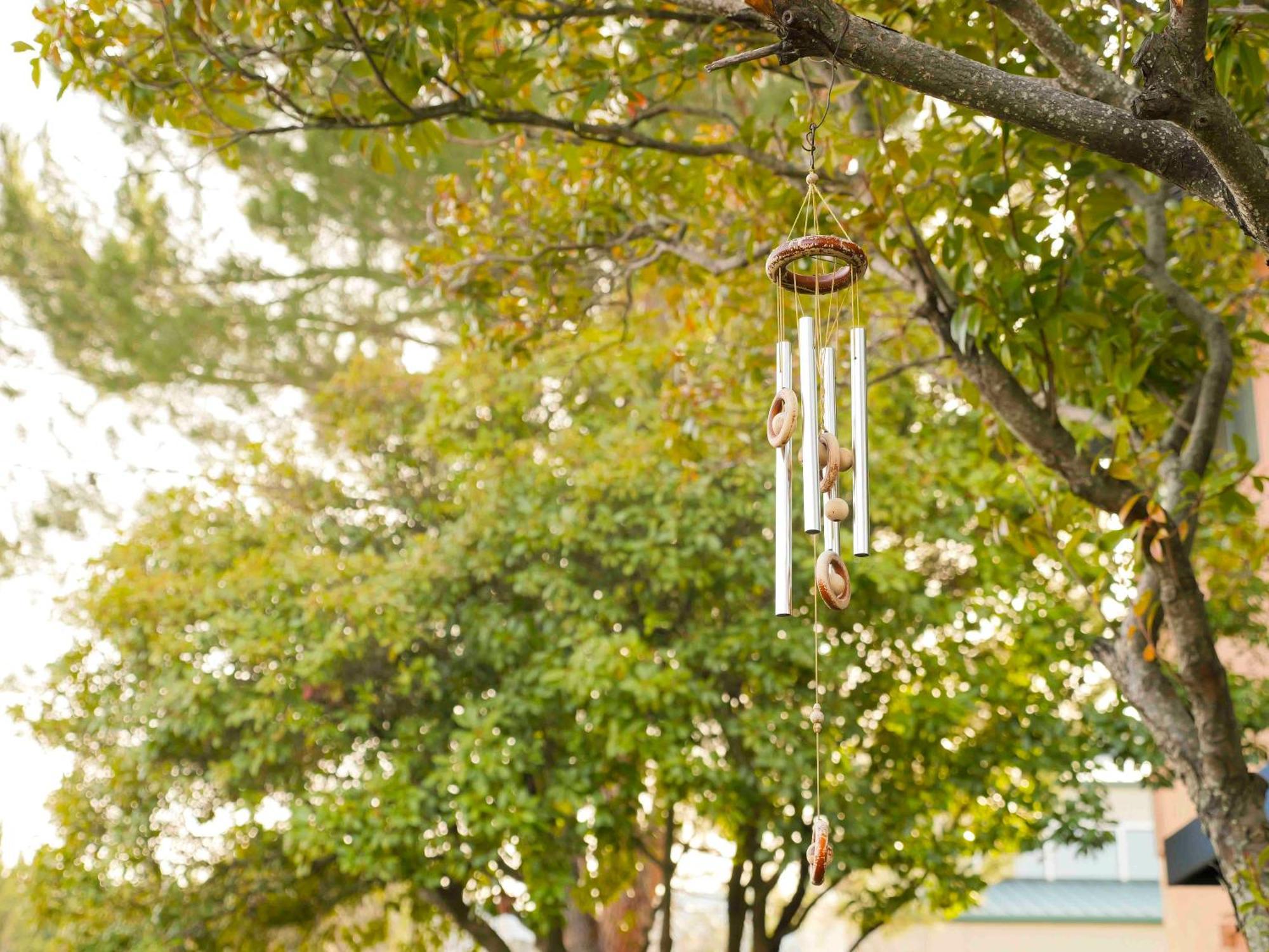 Ashland Commons Hostel ภายนอก รูปภาพ